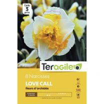8 Narcisses Love Call Fleurs D'Orchidée Teragile
